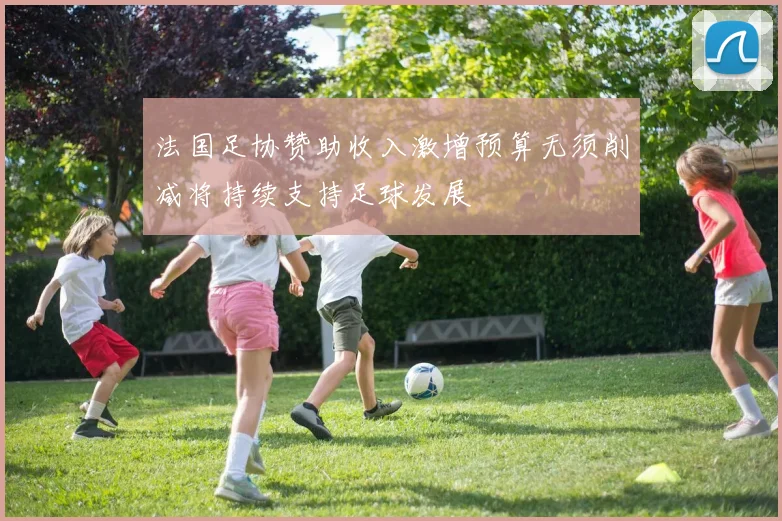 法国足协赞助收入激增预算无须削减将持续支持足球发展