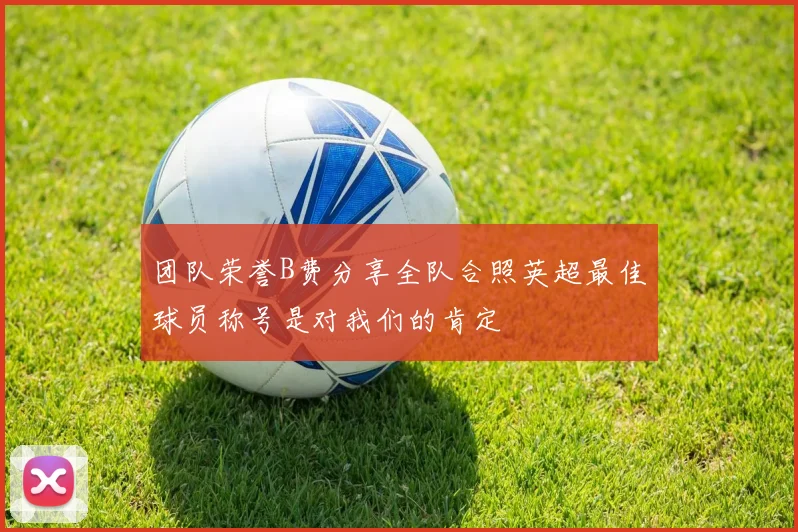 团队荣誉B费分享全队合照英超最佳球员称号是对我们的肯定